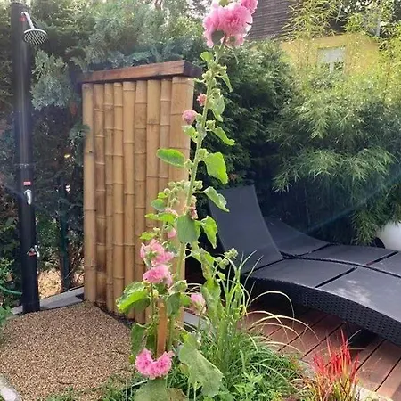 Fallingstar バート・ザーロー