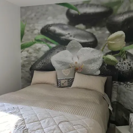 Fallingstar بيت للعطل باد سارو