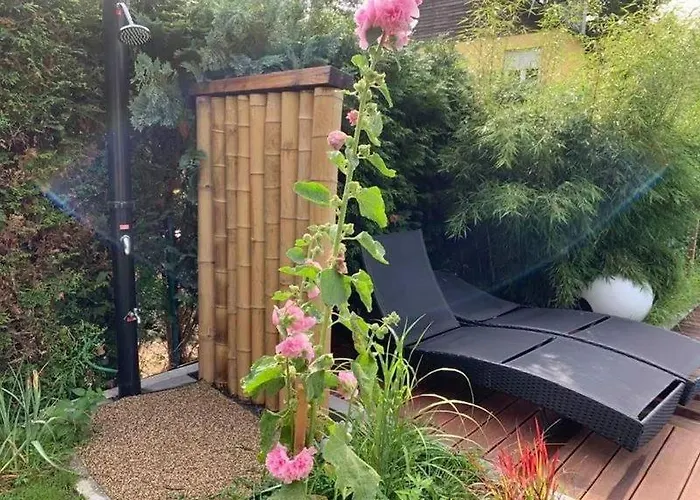 Fallingstar باد سارو